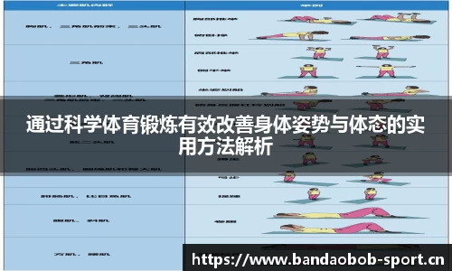 bob半岛体育官网