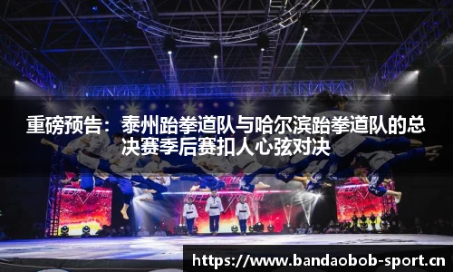 重磅预告：泰州跆拳道队与哈尔滨跆拳道队的总决赛季后赛扣人心弦对决